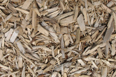 biomass boilers Hulseheath